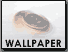 Desktop Wallpapers